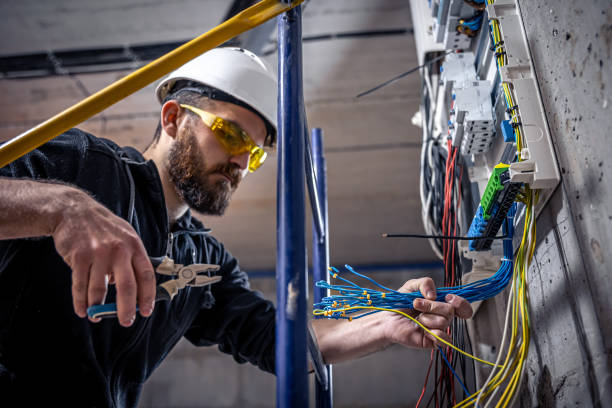 Best Electric Panel Repair  in Lake Ridge, VA