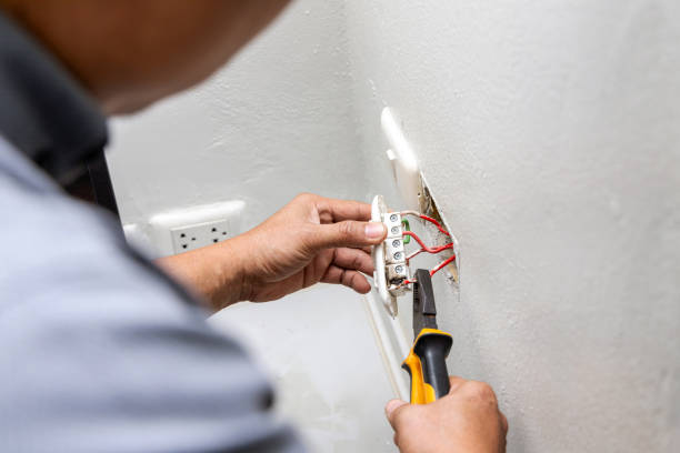 Best Generator Installation Services  in Lake Ridge, VA